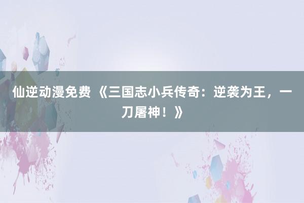 仙逆动漫免费 《三国志小兵传奇：逆袭为王，一刀屠神！》