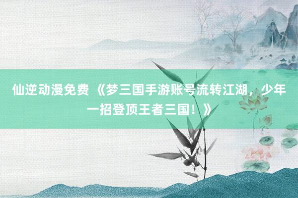 仙逆动漫免费 《梦三国手游账号流转江湖，少年一招登顶王者三国！》